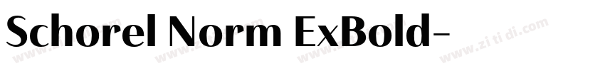 Schorel Norm ExBold字体转换